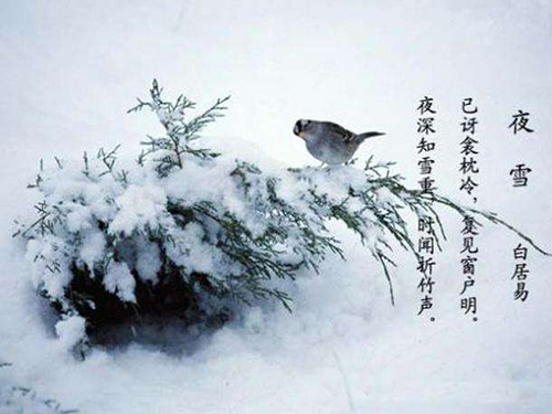 詩(shī)歌詩(shī)詞翻譯 詩(shī)歌詩(shī)詞翻譯