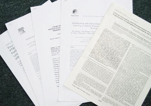 論文翻譯 論文翻譯