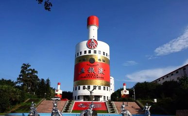 1546911446820307.jpg 2.jpg