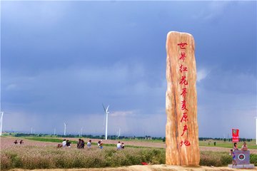 1546914134221918.jpg 2.jpg