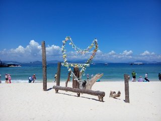 1546997587465327.jpg 2.jpg