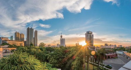 1546998135116284.jpg 2.jpg