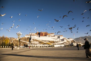 1546998462406362.jpg 2.jpg