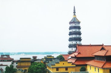 1546999715674668.jpg t0169882fd165a1a47d.jpg