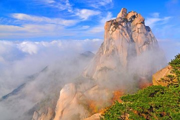 1546999761182784.jpg 1.jpg