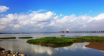 1547013514892210.jpg 1.jpg