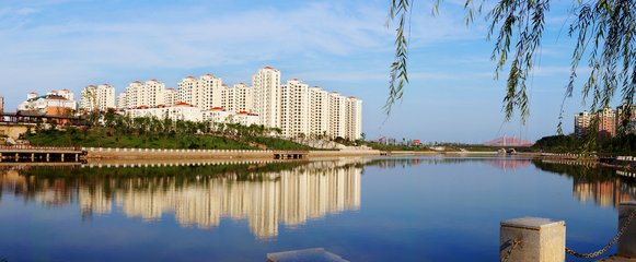 1547015148770774.jpg 1.jpg