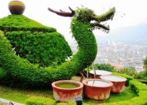 1547028358911496.jpg 1.jpg