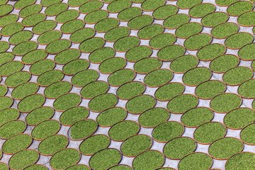 1547028465184241.jpg 1.jpg