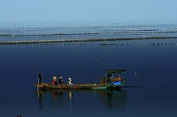 1547029791201438.jpg 1.jpg