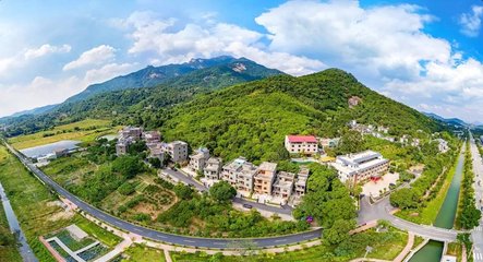 1547030065415475.jpg 1.jpg