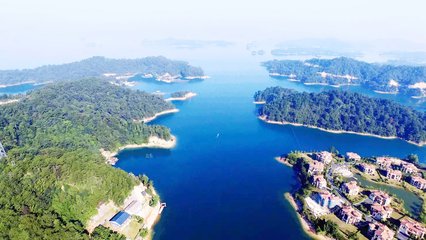 1547030712882030.jpg 1.jpg