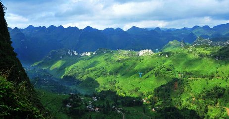 1547031605463555.jpg 1.jpg