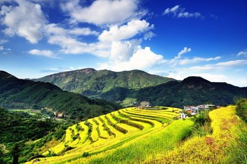 1547031968863217.jpg 1.jpg