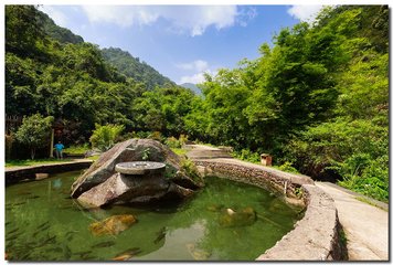 1547032379814715.jpg 1.jpg