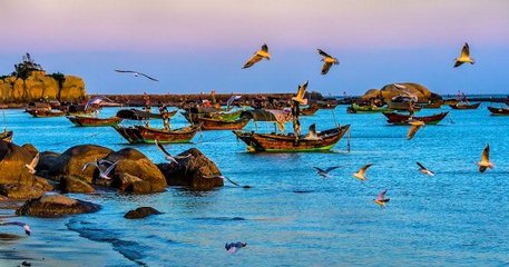 1547032749581936.jpg 1.jpg