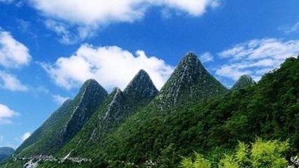 1547033478532085.jpg 1.jpg