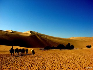 1547033605597660.jpg 1.jpg