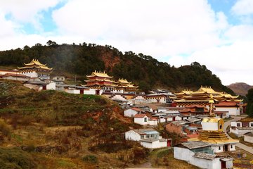 1547033856437027.jpg 1.jpg