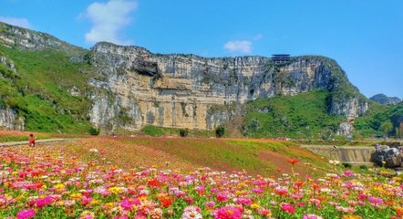 1547035174537325.jpg 1.jpg