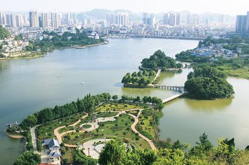 1547035257390846.jpg 1.jpg