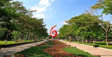 1547079467344099.jpg 1.jpg