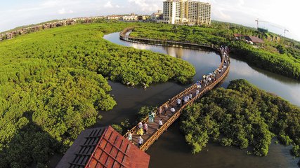 1547081689280877.jpg 1.jpg