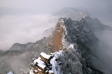 1547086731407190.jpg 1.jpg