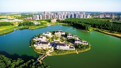 1547087861684013.jpg 1.jpg