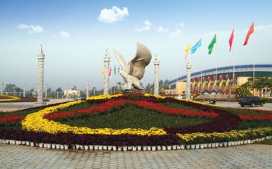 1547088035778910.jpg 1.jpg