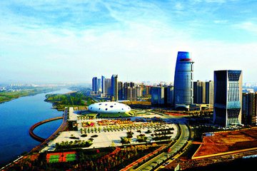 1547088375873191.jpg 1.jpg