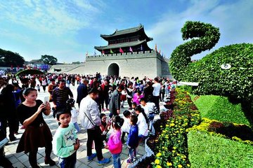 1547104518838588.jpg 1.jpg