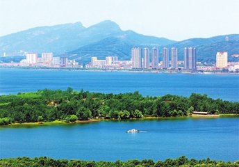 1547105457124867.jpg 1.jpg