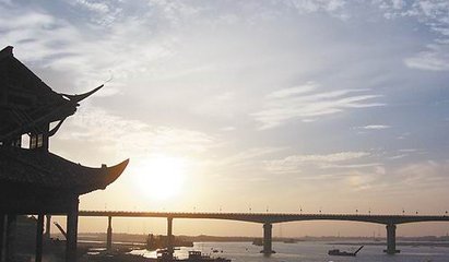 1547118443995641.jpg 1.jpg