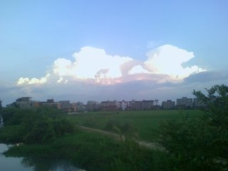 1547118700407281.jpg 1.jpg