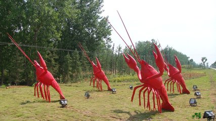 1547119944674051.jpg 1.jpg