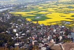 1547120037539517.jpg 1.jpg