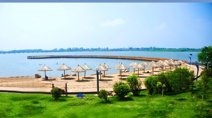 1547120684943453.jpg 1.jpg