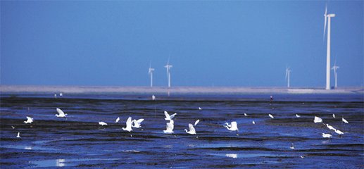 1547122121596749.jpg 1.jpg