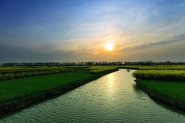 1547122432263359.jpg 1.jpg