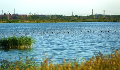 1547180697213448.jpg 1.jpg