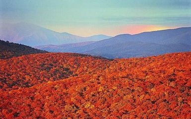 1547181244756533.jpg 1.jpg