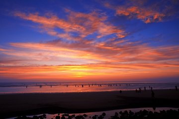 1547286780921767.jpg 1.jpg