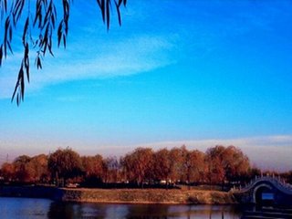 1547376930927565.jpg 1.jpg