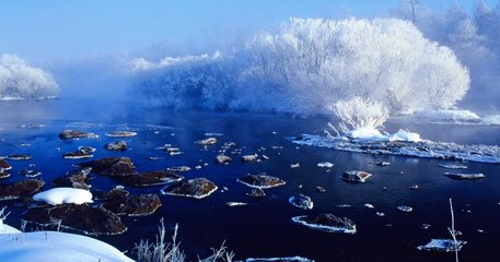 1547377296972010.jpg 1.jpg