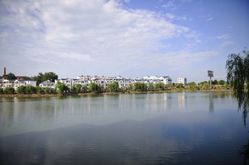 1547378424771873.jpg 1.jpg