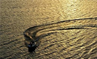 1547426735655146.jpg 1.jpg