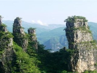 1547426890165751.jpg 1.jpg