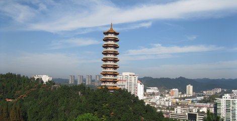 1547428265416393.jpg 1.jpg