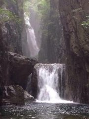 1547430608978300.jpg 1.jpg